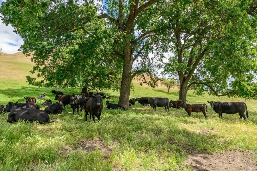 0 Gibson Canyon Road, Vacaville, CA 95688 - Image #2