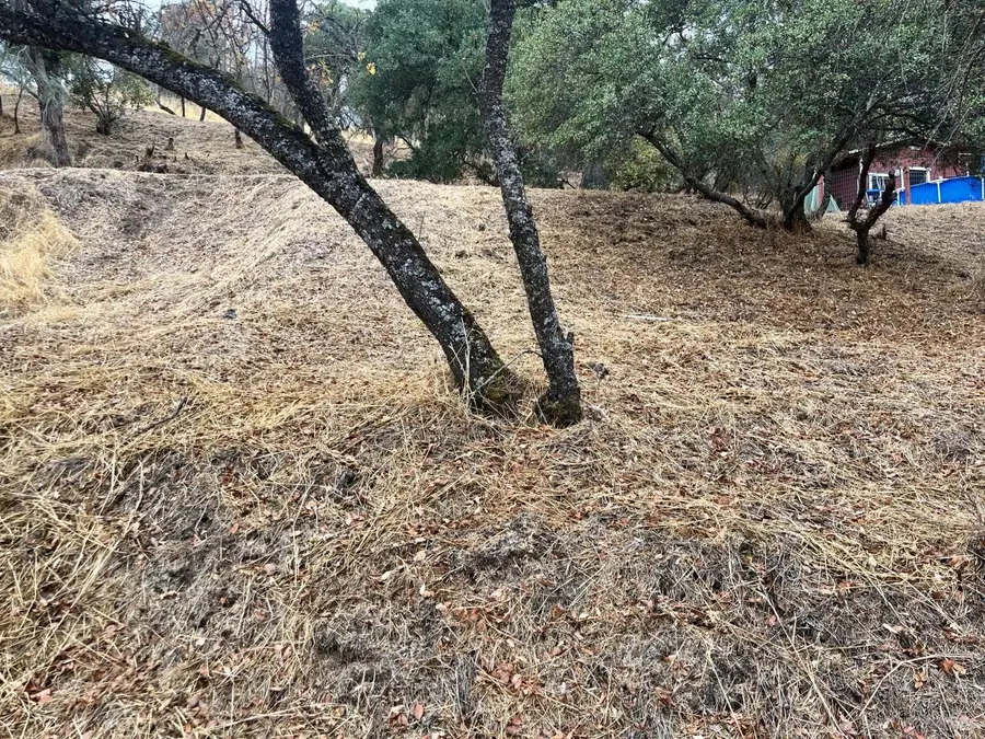 3670 Marin Street, Clearlake, CA 95422 - Image #2