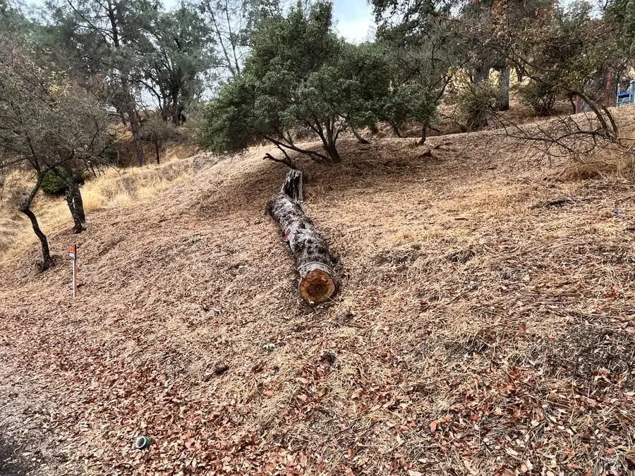 3670 Marin Street, Clearlake, CA 95422 - Image #3