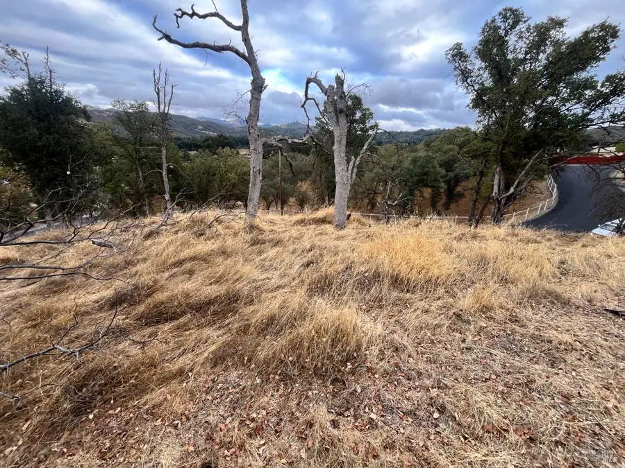 9429 Copsey Creek Way, Lower Lake, CA 95457 - Image #2