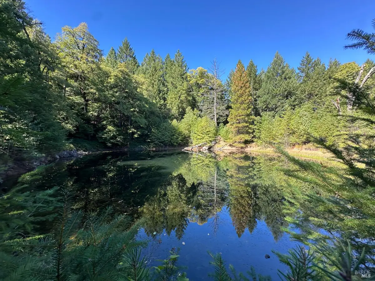 51901 Stivers Road, Laytonville, CA 95454 - Image #1