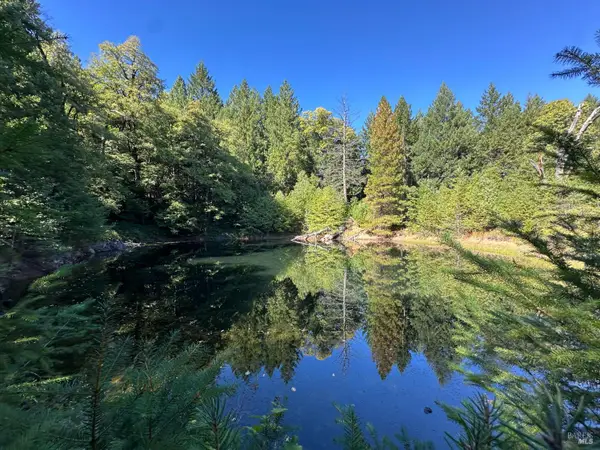 51901 Stivers Road, Laytonville, CA 95454