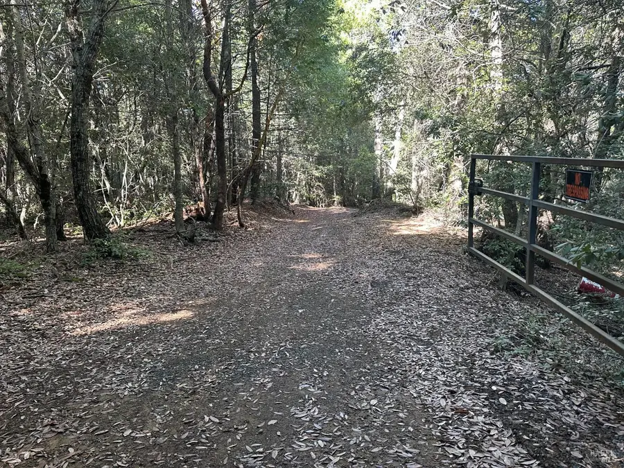 51901 Stivers Road, Laytonville, CA 95454 - Image #2