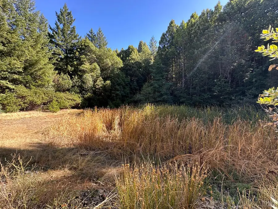 51901 Stivers Road, Laytonville, CA 95454 - Image #3