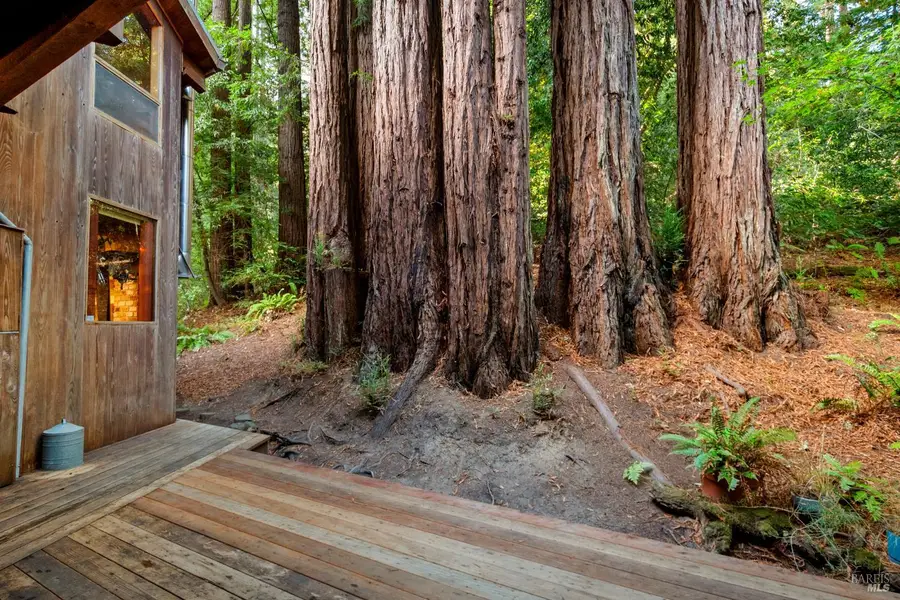 2081 Joy Road, Occidental, CA 95465 - Image #3