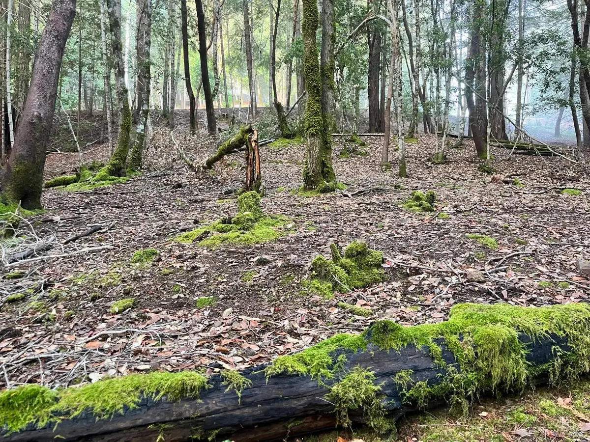 1451 Perch Way, Willits, CA 95490 - Image #1