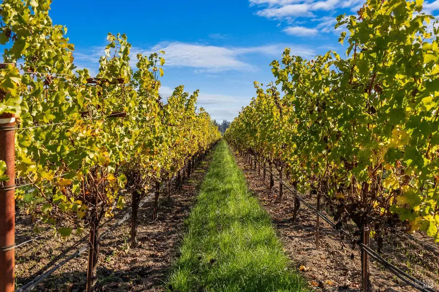 636 Dry Creek Road, Healdsburg, CA 95448 - Image #2