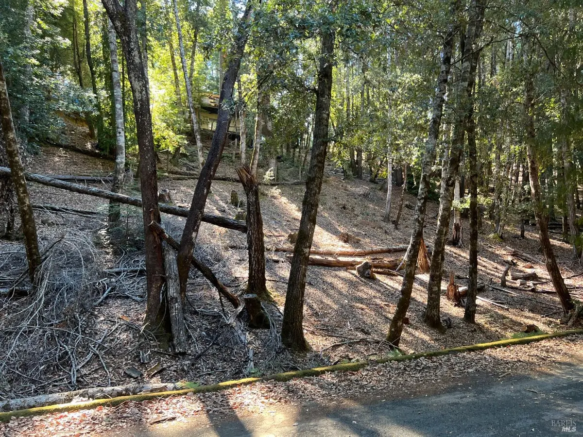 27208 Bear Circle, Willits, CA 95490 - #1