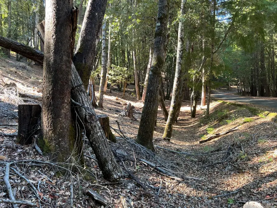 27208 Bear Circle, Willits, CA 95490 - #2