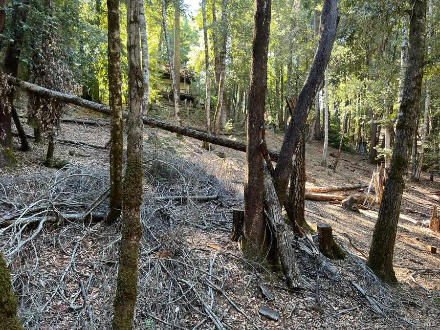 27208 Bear Circle, Willits, CA 95490 - #3