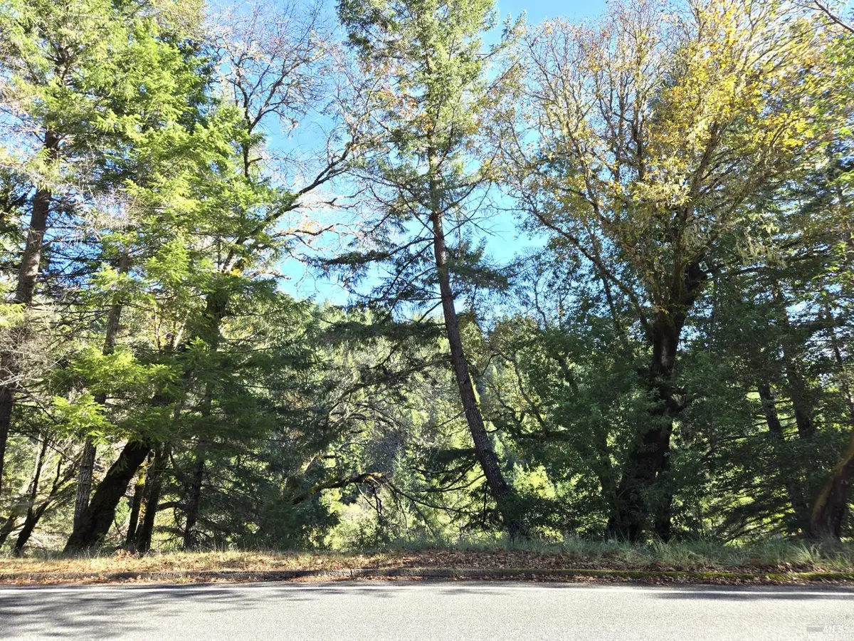 2713 Primrose Drive, Willits, CA 95490 - #1