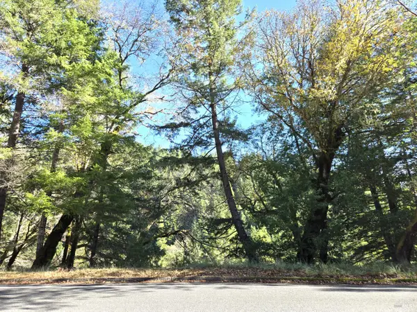 2713 Primrose Drive, Willits, CA 95490