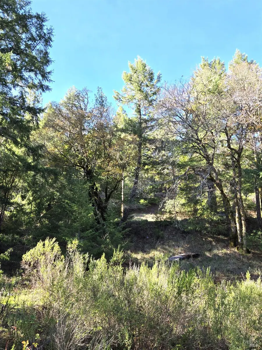 2713 Primrose Drive, Willits, CA 95490 - #2