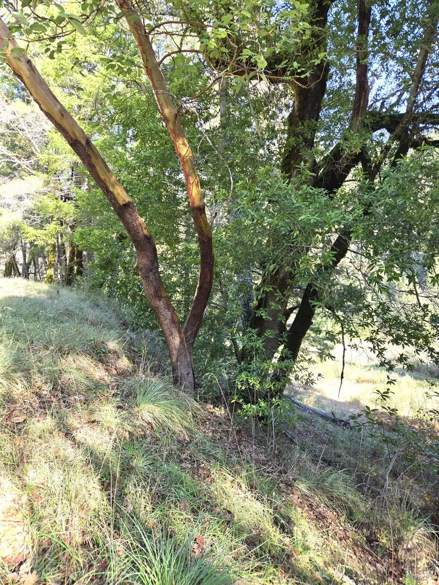 2713 Primrose Drive, Willits, CA 95490 - #3