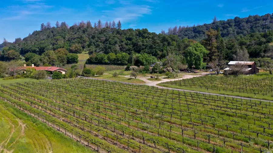 3 Zinfandel Lane, Saint Helena, CA 94574 - Image #2