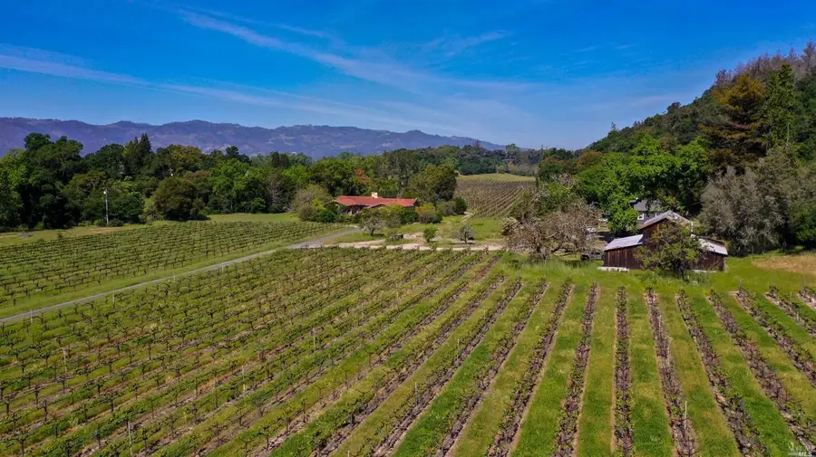 3 Zinfandel Lane, Saint Helena, CA 94574 - Image #3