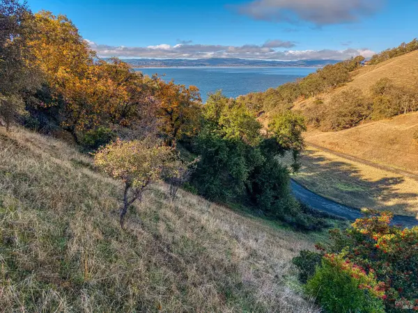 7431 Bruner Drive, Glenhaven, CA 95443