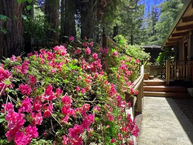 544 Cascade Drive, Mill Valley, CA 94941 - Image #2