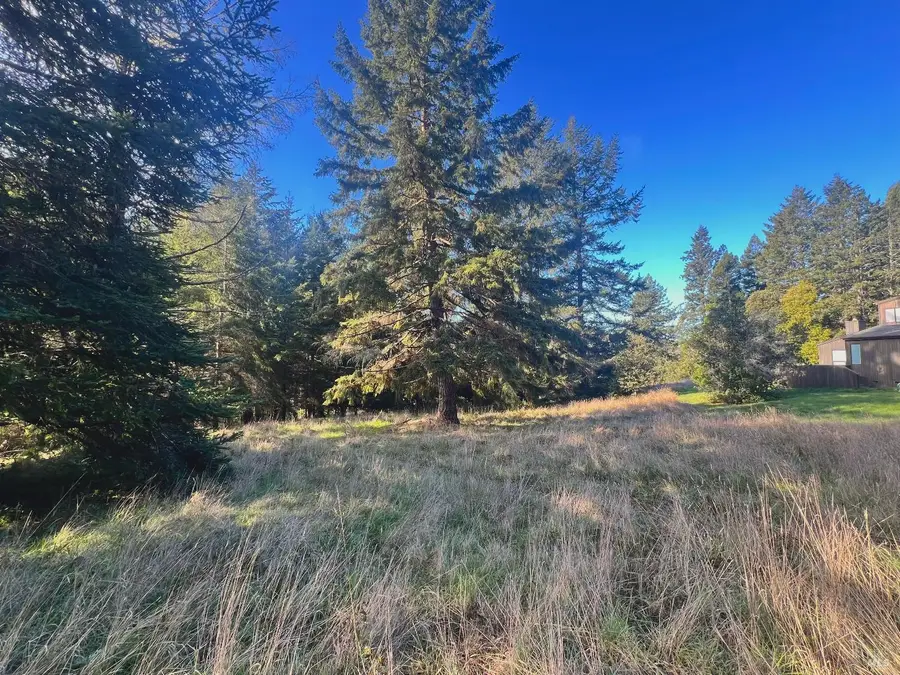 38065 Foothill Close, The Sea Ranch, CA 95497 - Image #3