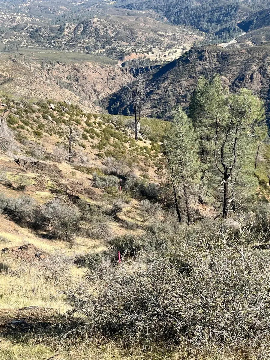 0 Beegum Gorge Road, Platina, CA 96076 - Image #2