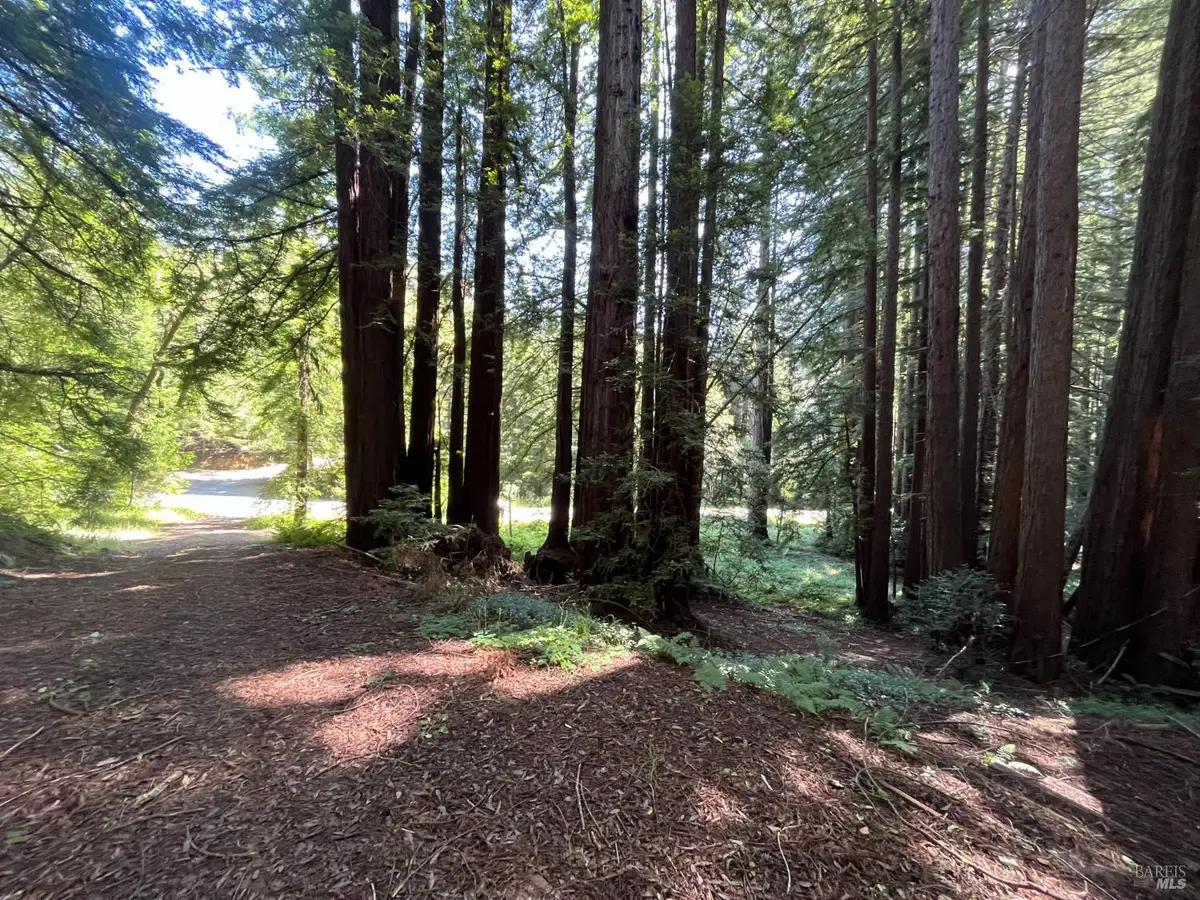 1355 Nicasio Valley Road, Nicasio, CA 94946 - Image #1