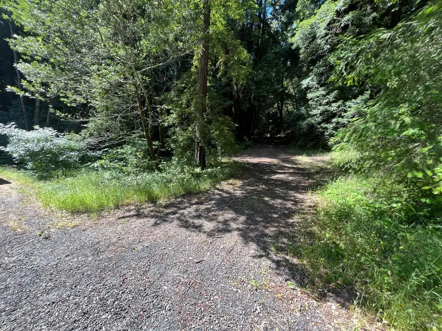 1355 Nicasio Valley Road, Nicasio, CA 94946 - Image #2
