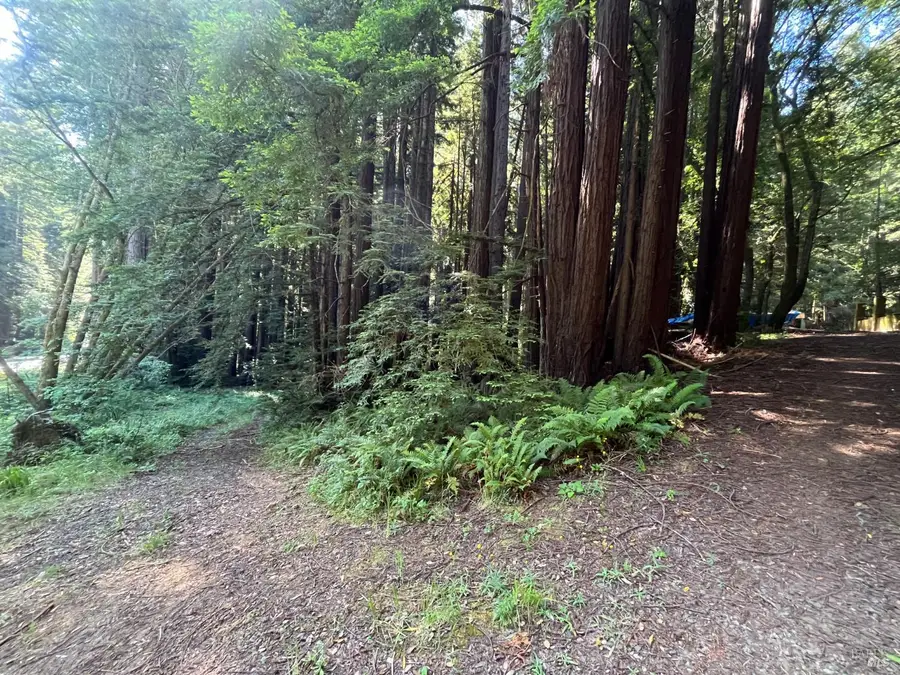 1355 Nicasio Valley Road, Nicasio, CA 94946 - Image #3