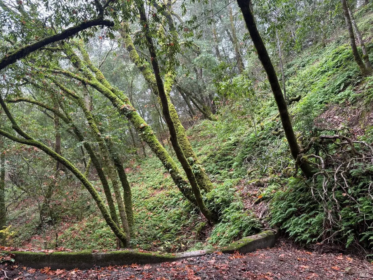 11285 Dell Avenue, Forestville, CA 95436 - Image #1