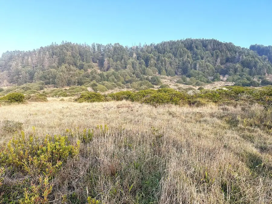 40101 Ca 1 N, Westport, CA 95488 - Image #3