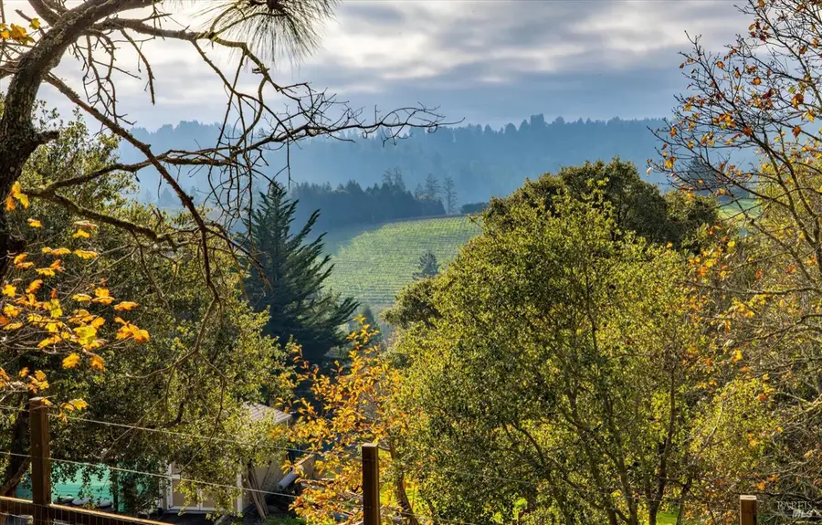 808 Grandview Road, Sebastopol, CA 95472 - Image #3