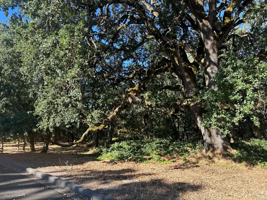 250 Napa Road, Sonoma, CA 95476 - Image #2