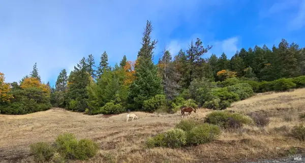 32120 Shimmins Ridge Road, Willits, CA 95490