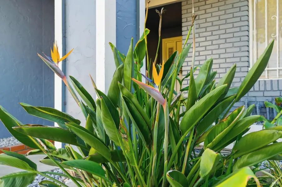 200 Evelyn Circle, Vallejo, CA 94589 - Image #3