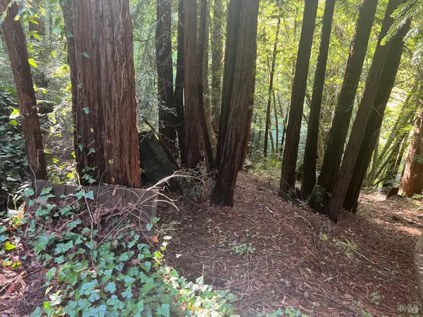 21866 Monte Vista Terrace, Monte Rio, CA 95462