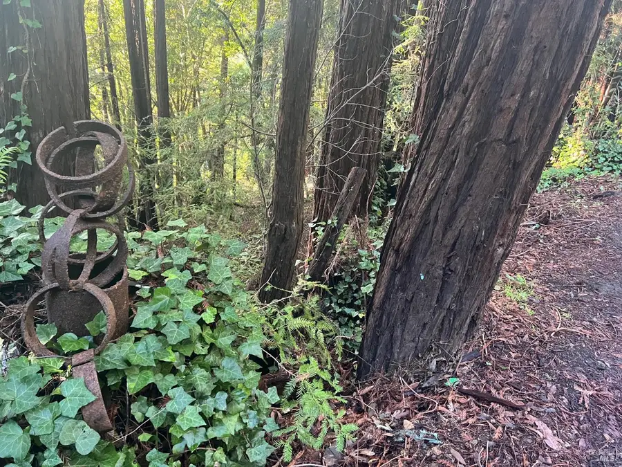 21866 Monte Vista Terrace, Monte Rio, CA 95462 - Image #2