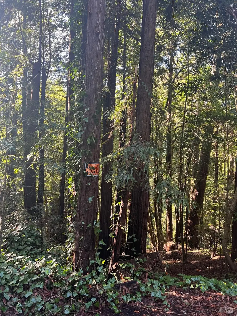 21866 Monte Vista Terrace, Monte Rio, CA 95462 - Image #3