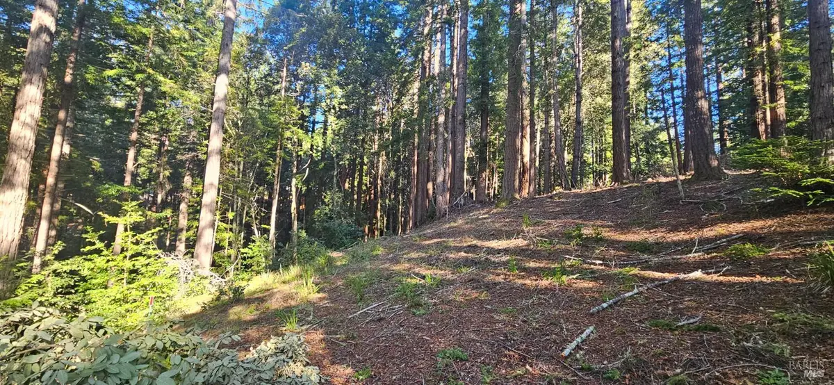22107 Ruoff Road, Timber Cove, CA 95450 - Image #1