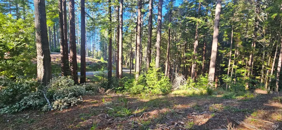 22107 Ruoff Road, Timber Cove, CA 95450 - Image #2