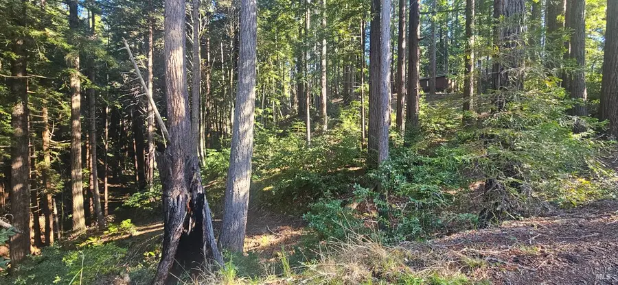 22107 Ruoff Road, Timber Cove, CA 95450 - Image #3