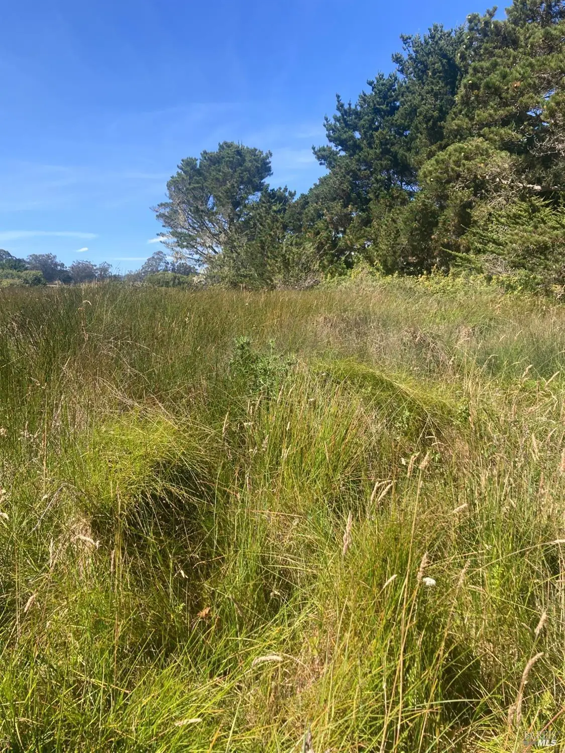 0 Juniper Road, Bolinas, CA 94924 - Image #1