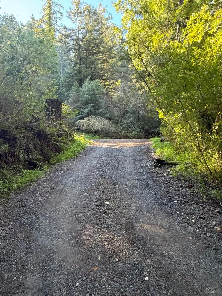 136 Lagunitas Road, Lagunitas, CA 94938 - Image #2