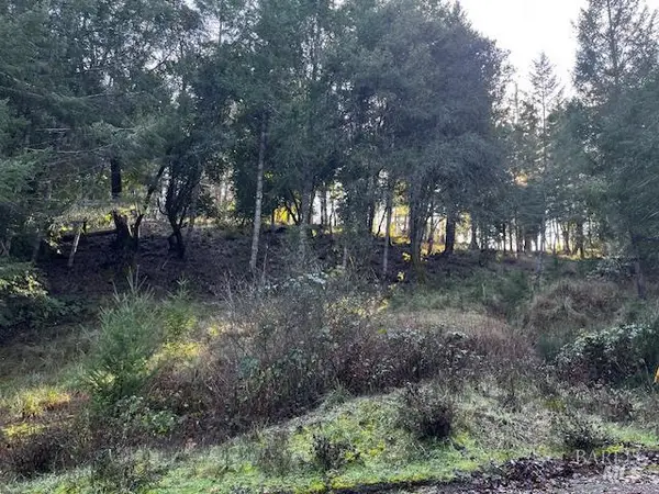 24583 Cypress Drive, Willits, CA 95490