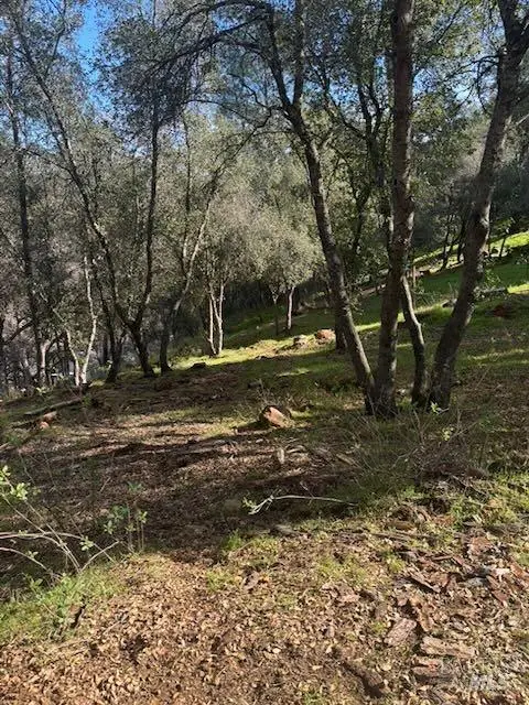 214 Colt Court, Pope Valley, CA 94567 - Image #1