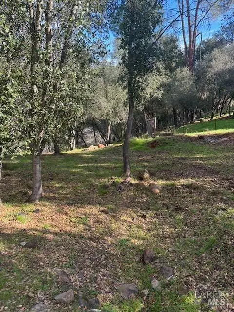 214 Colt Court, Pope Valley, CA 94567 - Image #3