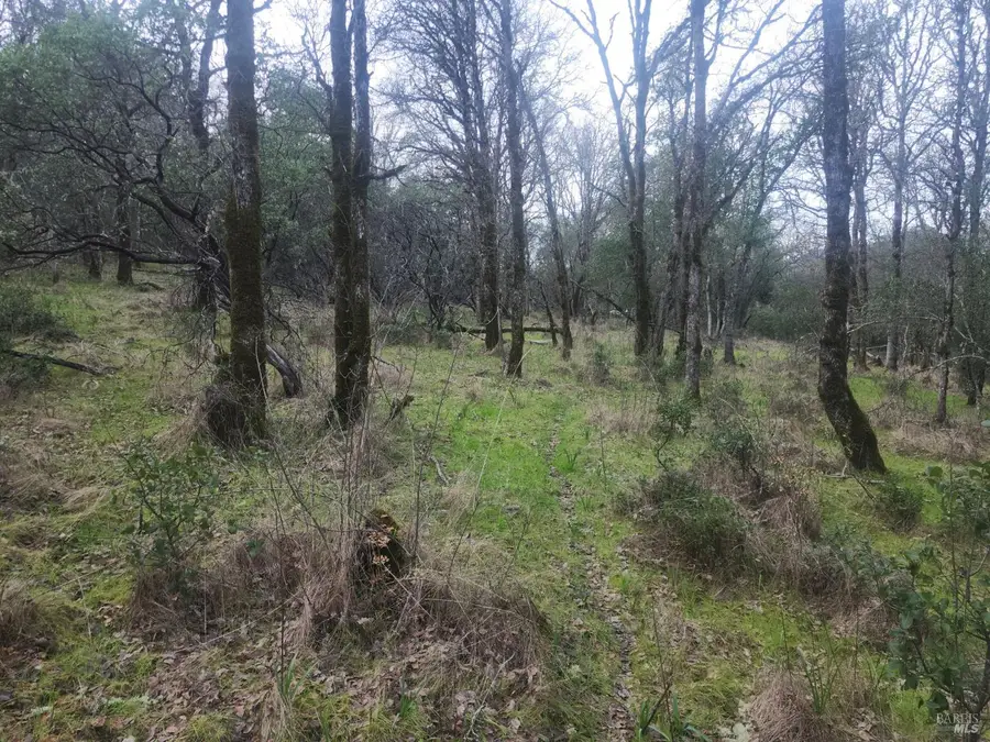 2800 Road B, Redwood Valley, CA 95470 - Image #3