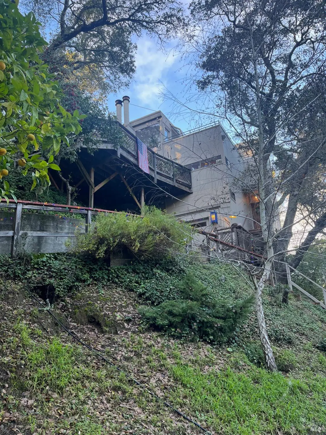 19 Holly Avenue, Larkspur, CA 94939 - Image #1