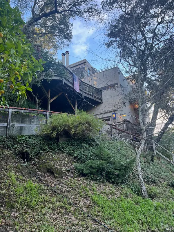 19 Holly Avenue, Larkspur, CA 94939