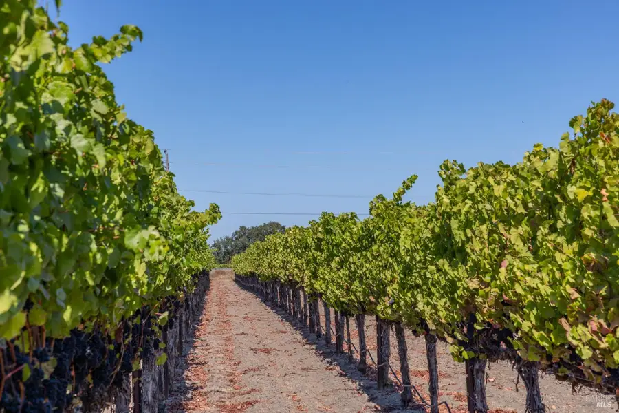 3000 River Road, Windsor, CA 95492 - Image #3