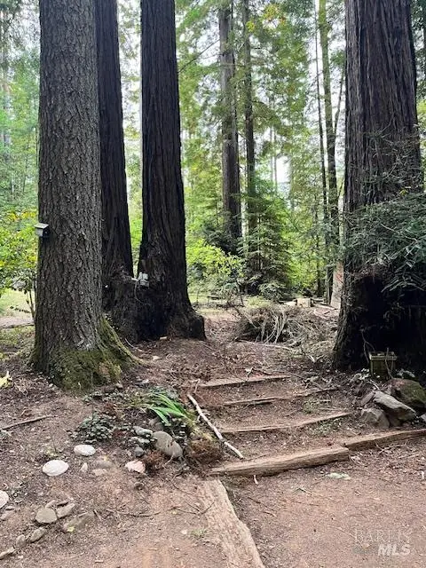 46251 Pacific Woods Road, Gualala, CA 95445 - #2