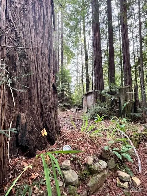 46251 Pacific Woods Road, Gualala, CA 95445 - #3